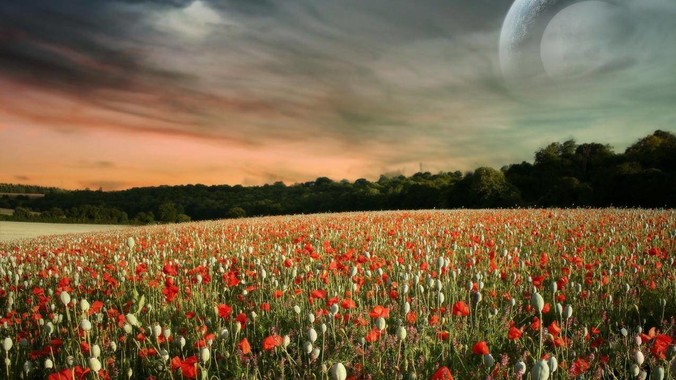 如何看待撤档的电影《人生会议》恢复原时间上映？